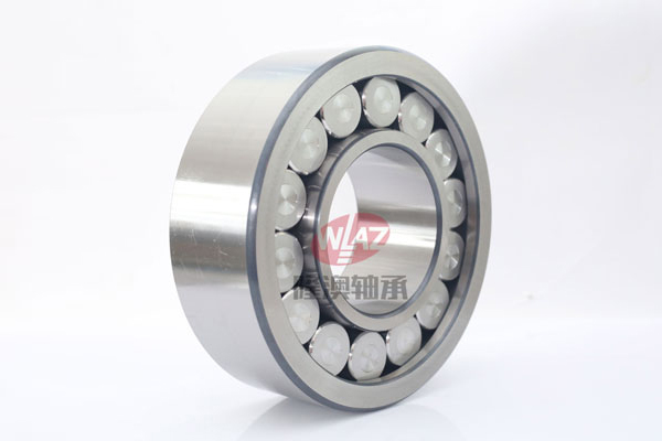 滿(man)裝滾子(zi)SL1923系列